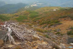 木曽御嶽山の紅葉