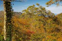 冠山の紅葉景
