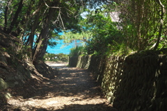 南国の島にいます