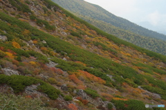 木曽御嶽山の彩