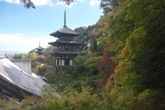 間もなく彩りに埋もれる西塔と東塔