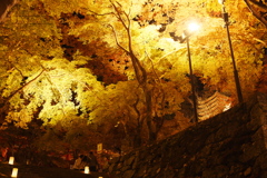 談山神社/ライトアップ