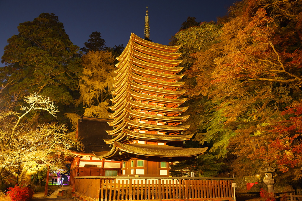 談山神社/ライトアップ