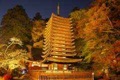 談山神社/ライトアップ