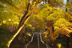 談山神社/ライトアップ