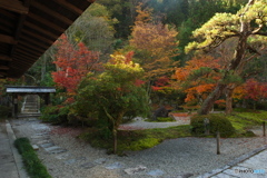 定勝寺。鶴亀の蓬莱庭園