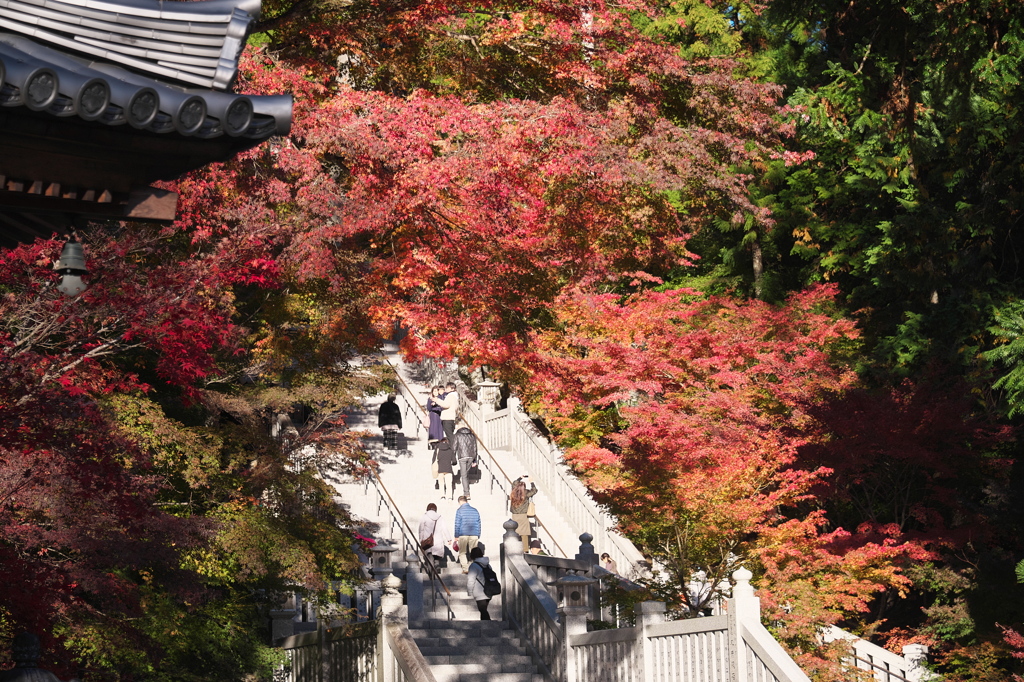 彩りの法多山尊永寺