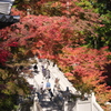 彩りの法多山尊永寺