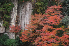大野寺弥勒磨崖仏