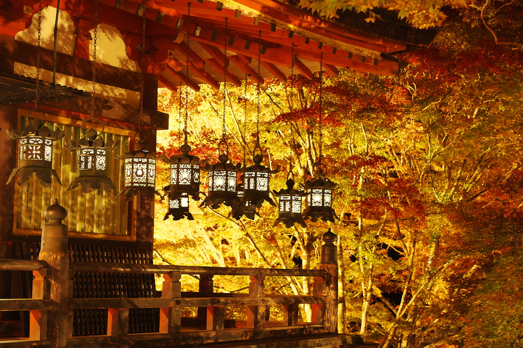 談山神社/ライトアップ