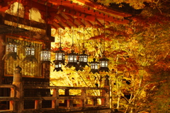 談山神社/ライトアップ