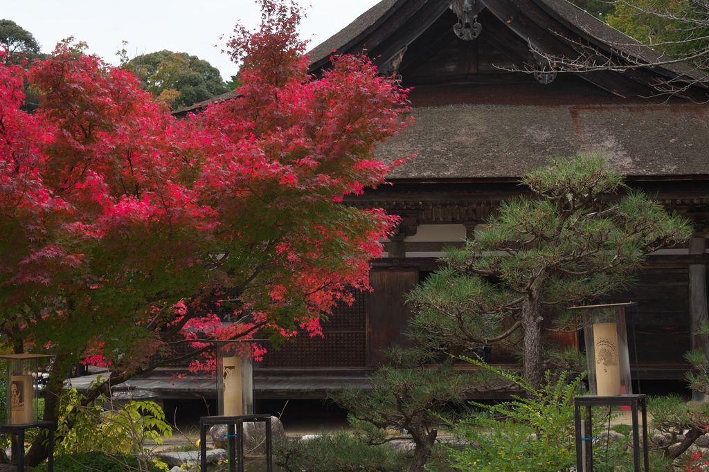 善水寺の彩り
