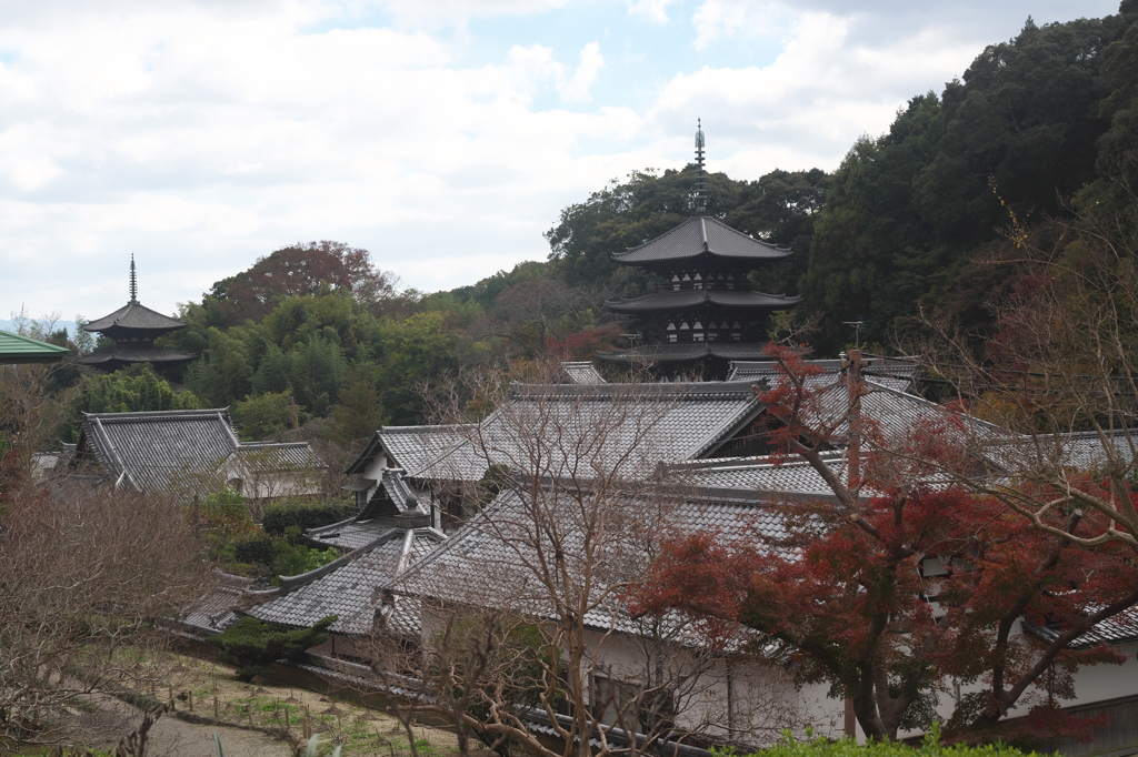 秋の日の當麻寺