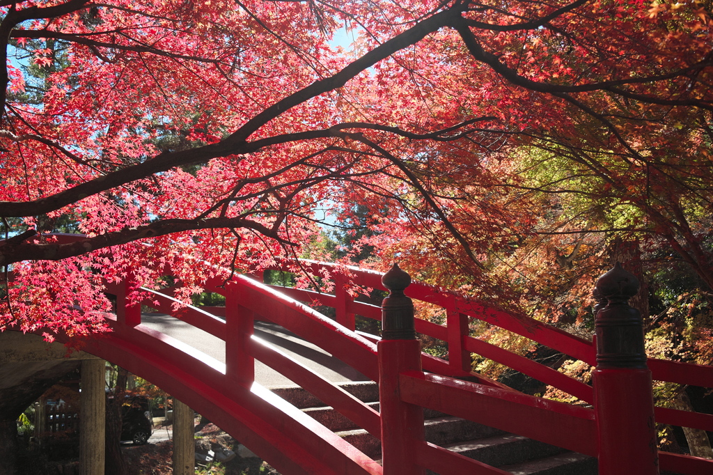 大洞院、朱と赤い橋