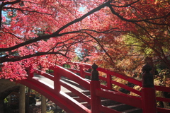 大洞院、朱と赤い橋