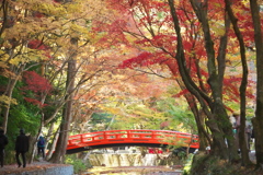 紅葉見ごろの小國神社