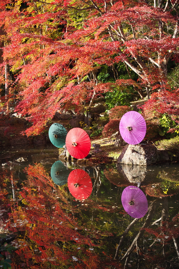 彩る法多山尊永寺