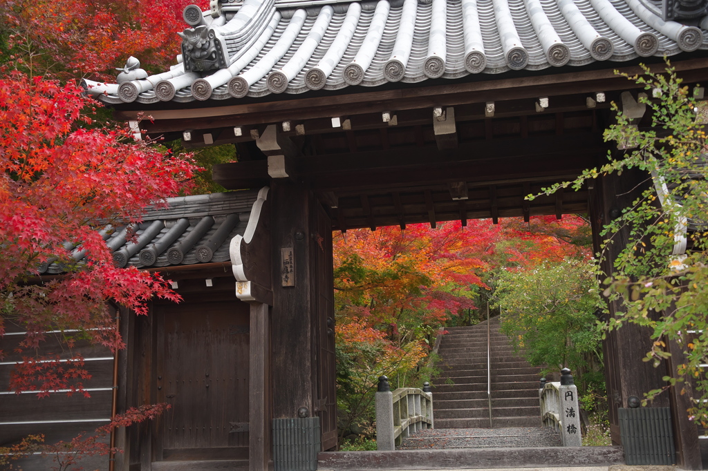 西鷹寺の彩り