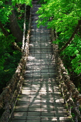 かずら橋（福井県池田町）