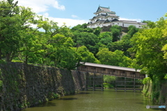 定番の和歌山城と御橋廊下