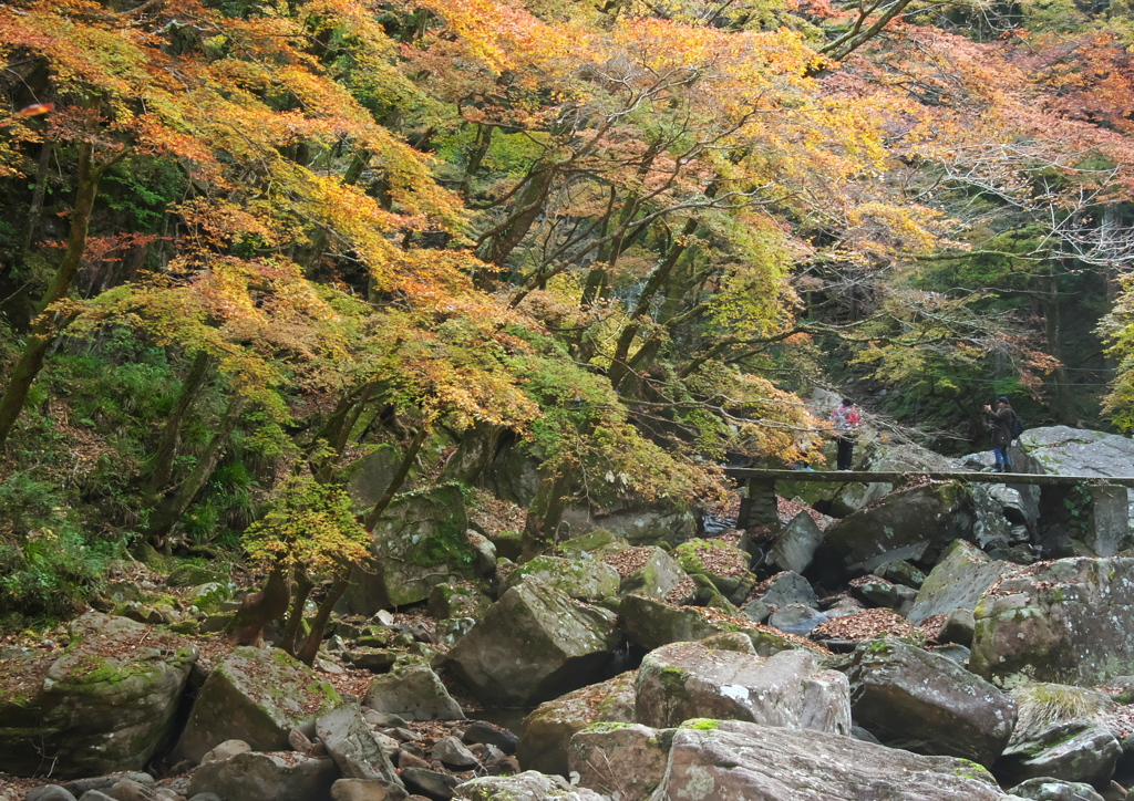 百畳岩の彩り