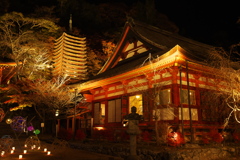 談山神社/ライトアップ
