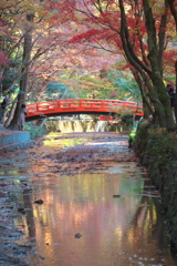 遠江国一宮小國神社、彩りの宮川