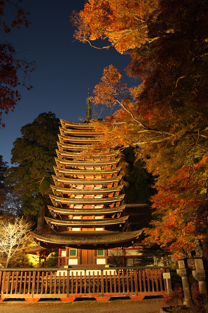 談山神社/ライトアップ
