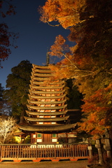 談山神社/ライトアップ