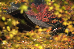 国宝長寿寺の本堂