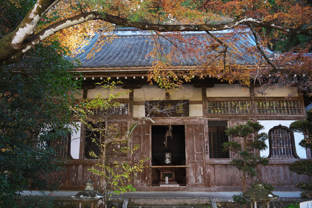 大洞院、晩秋