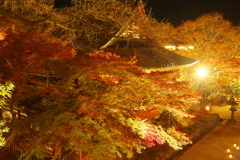 談山神社/ライトアップ