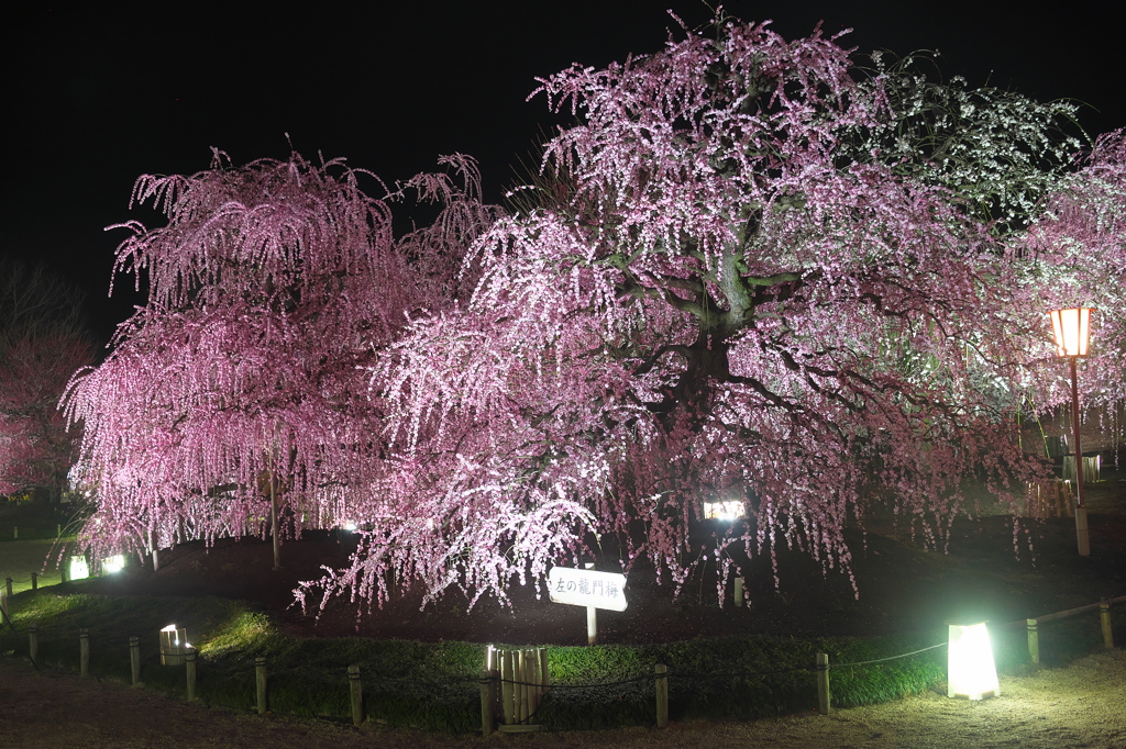 香り立つ静寂