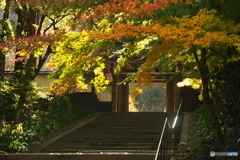 須原宿　定勝寺の彩
