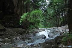 大滝川の流れ