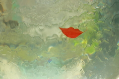 水球の中と外（誘惑）