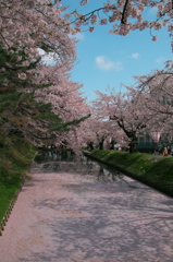 弘前城堀花いかだ