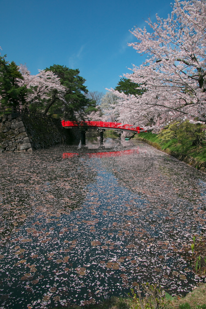 弘前城鷹丘橋内濠