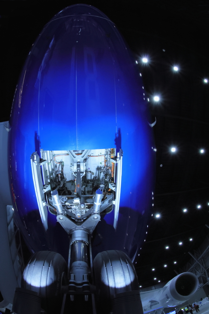 787見上げる