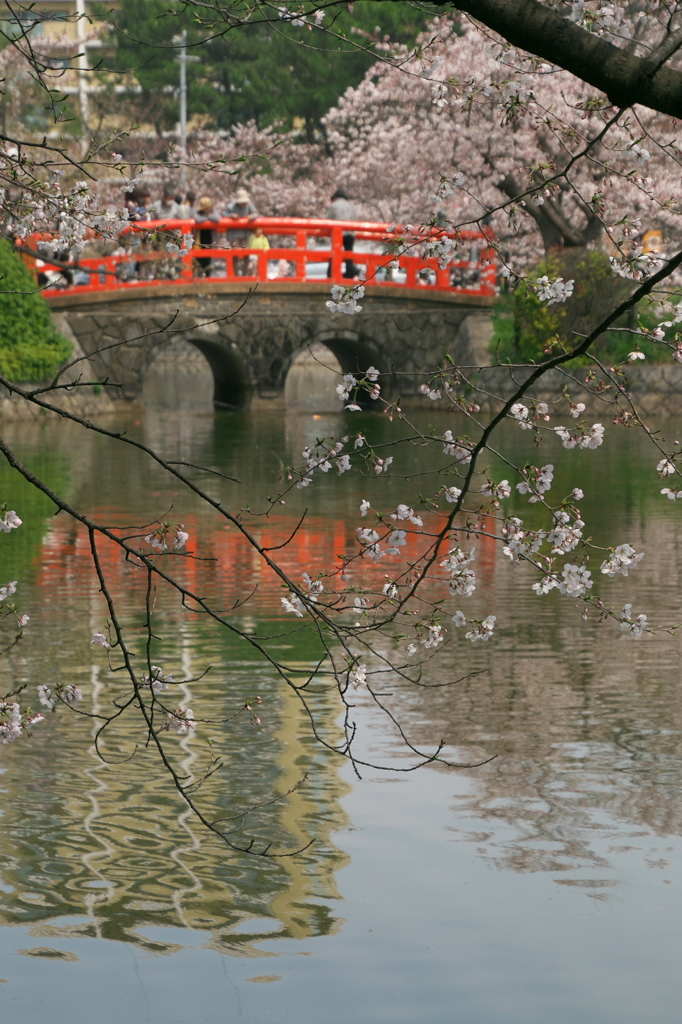 刈谷市亀城公園