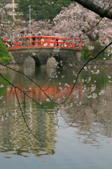 刈谷市亀城公園