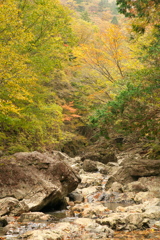 大台ヶ原の谷間