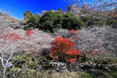川を埋める