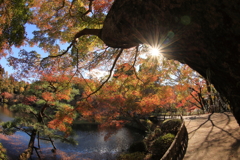 東山公園