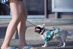 ビーチ大好き