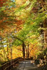 帰り道