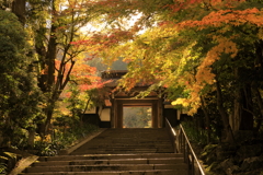 木曽の定勝寺山門の紅葉