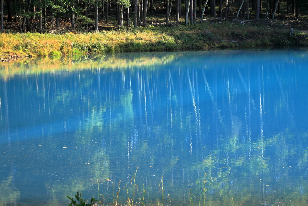 青の池