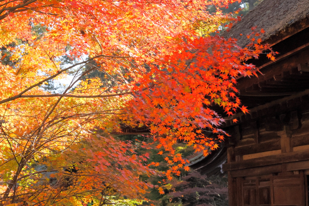 湖南三山　国宝長寿寺