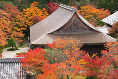 南禅寺三門から